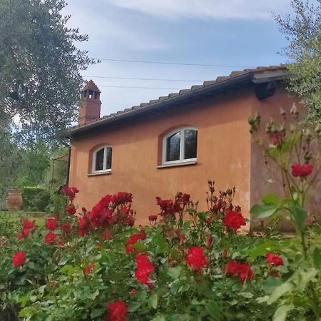 Вілла La Casa Delle Rose Террануова-Браччоліні Екстер'єр фото