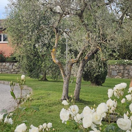 Вілла La Casa Delle Rose Террануова-Браччоліні Екстер'єр фото