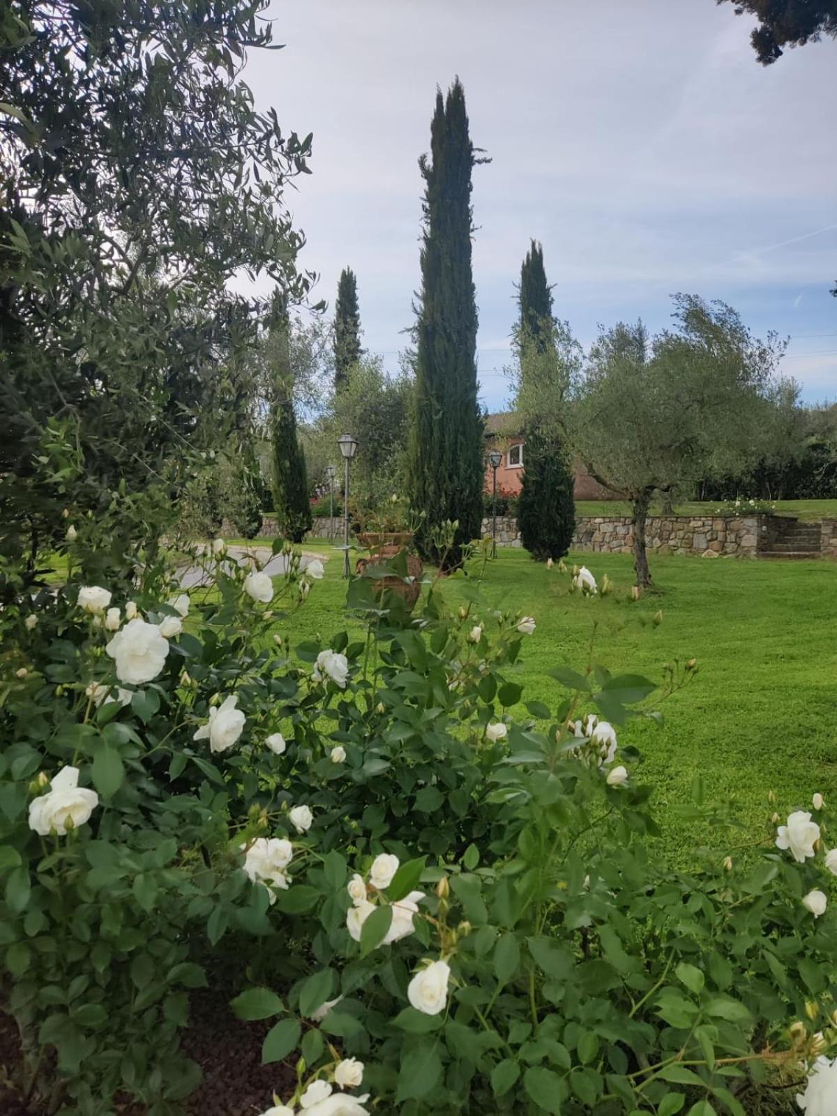 Вілла La Casa Delle Rose Террануова-Браччоліні Екстер'єр фото